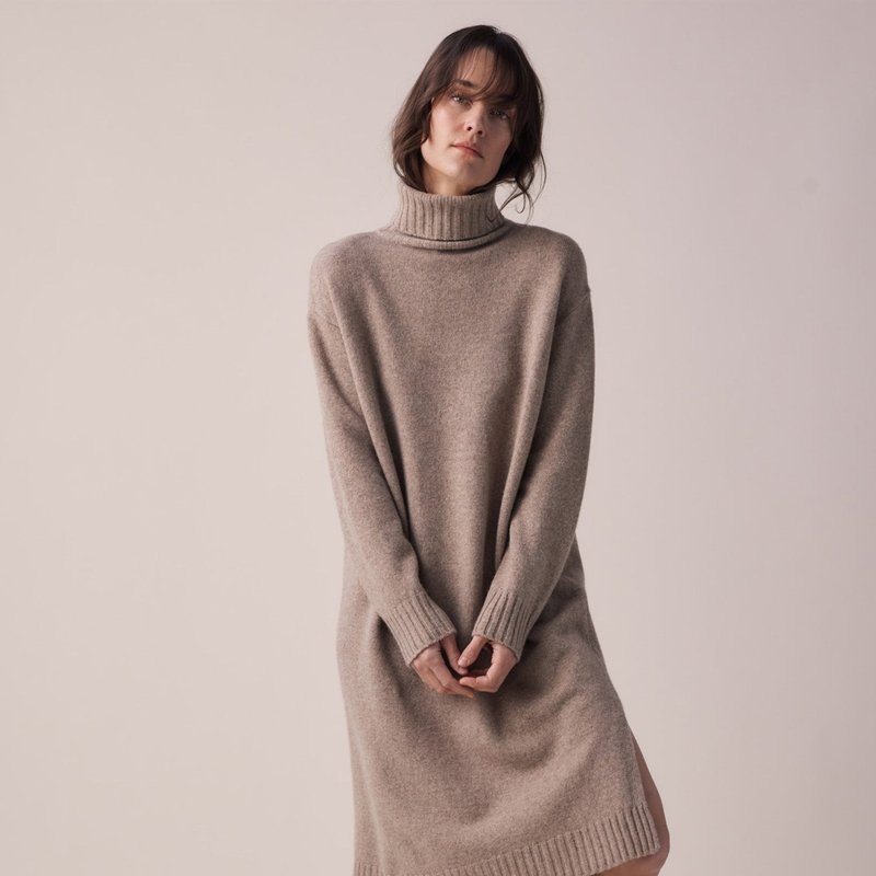 A Mente Wool Turtleneck Midi Dress In Brown
