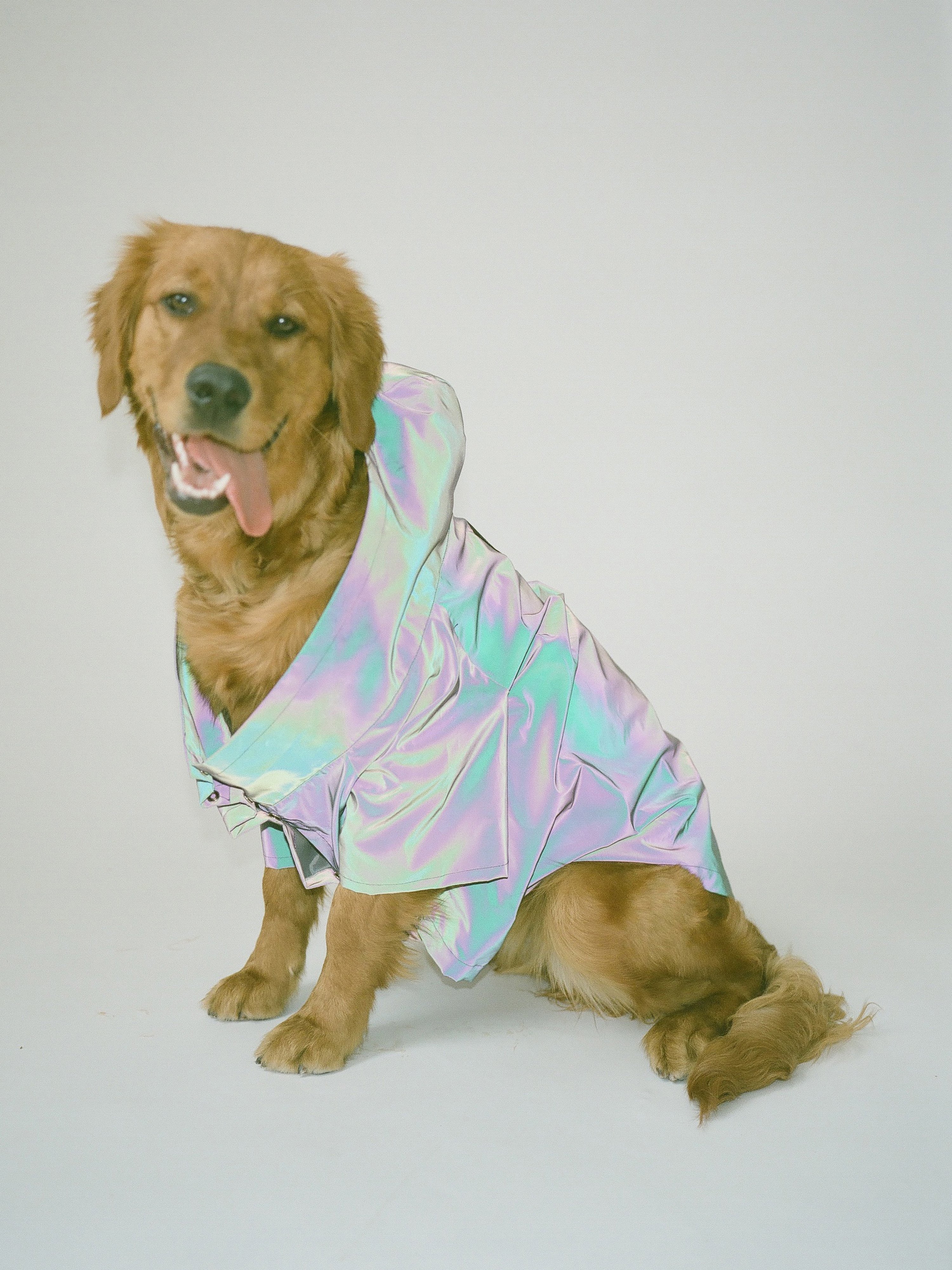 Aapetpeople The Weather Proof Coat