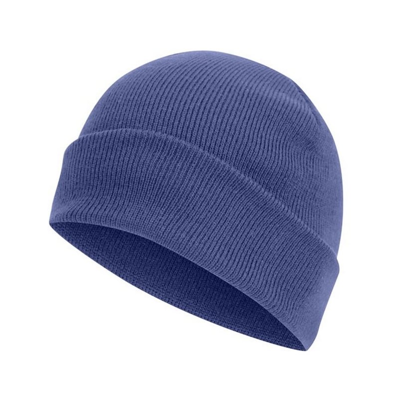 Absolute Apparel Knitted Turn Up Ski Hat (royal) In Blue