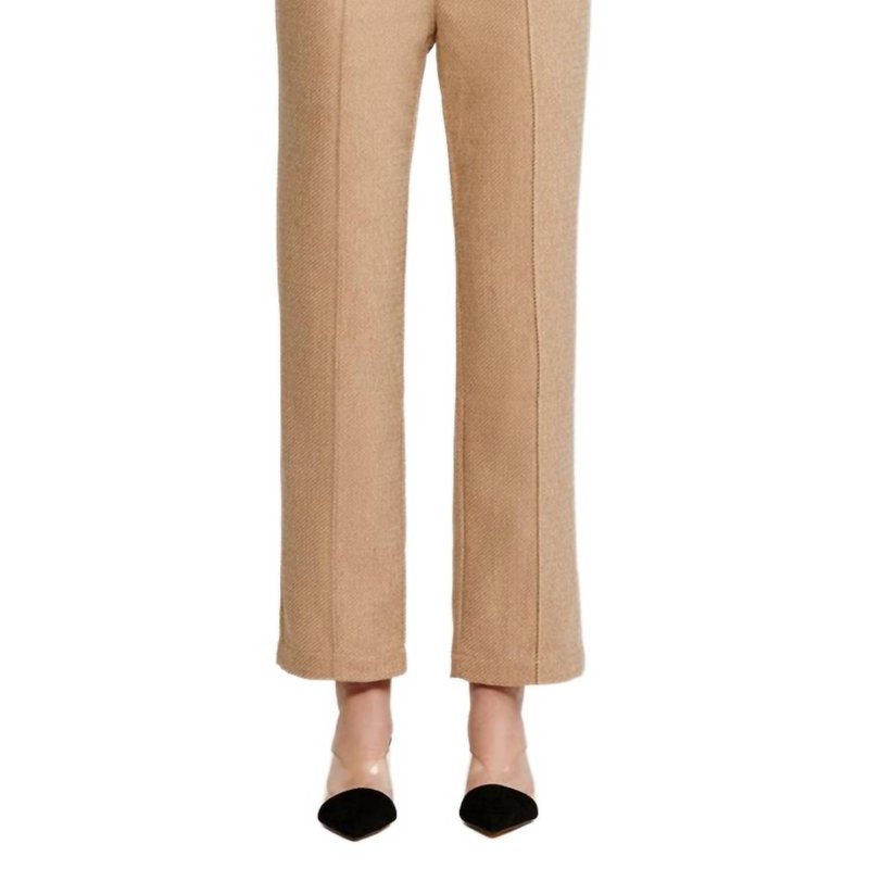 Shop Acler Esso Pant In Brown