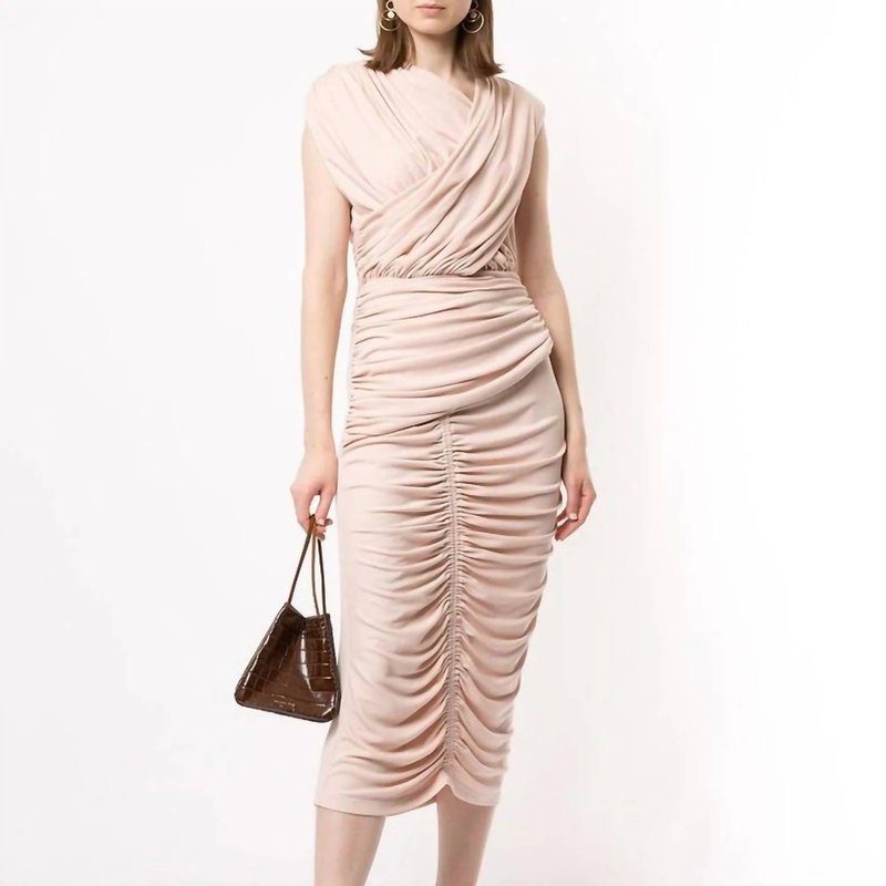 Shop Acler Palmer Dress In Pink