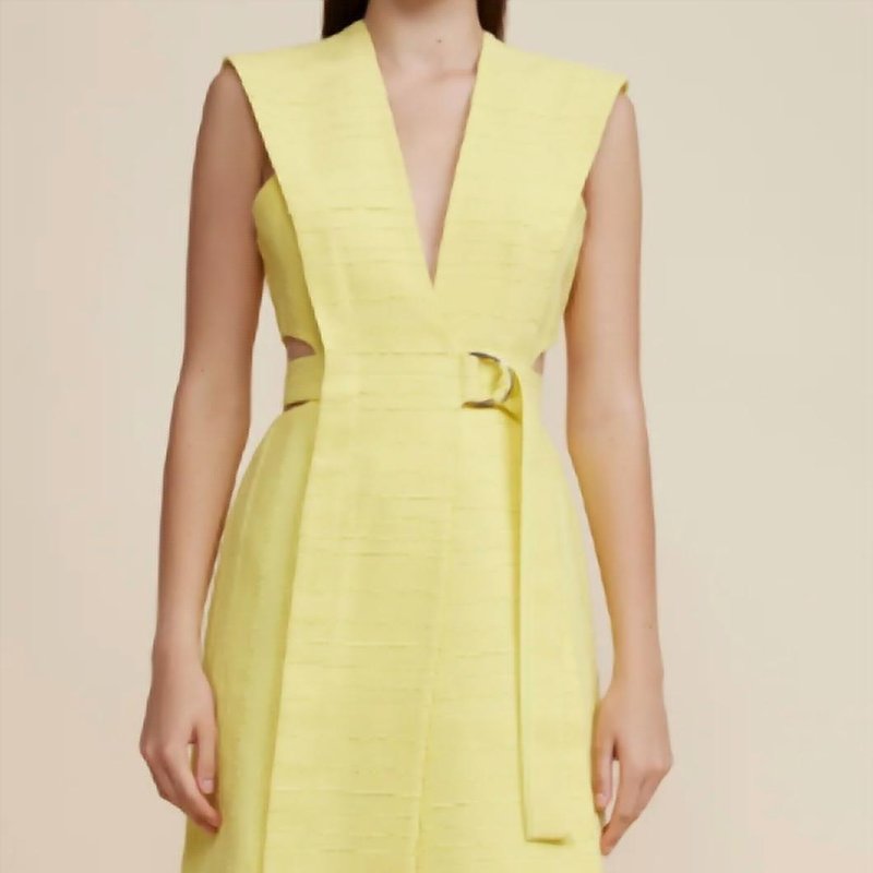Shop Acler Shefford Dress In Yellow