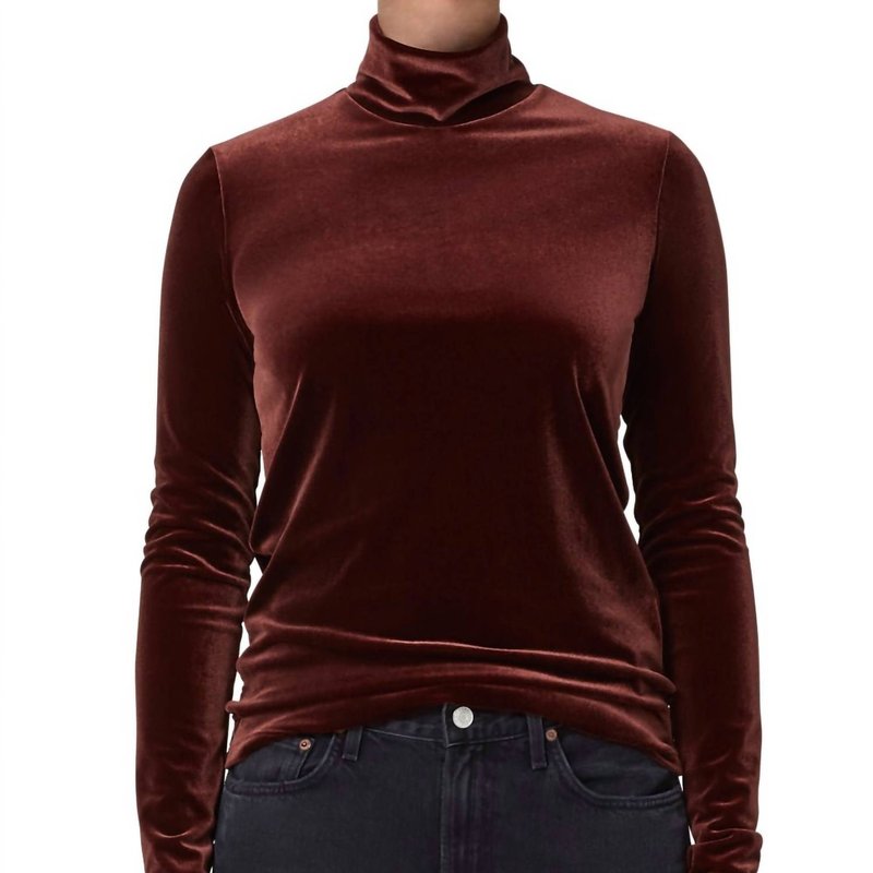 Shop Agolde Pascale Turtleneck Top In Brown