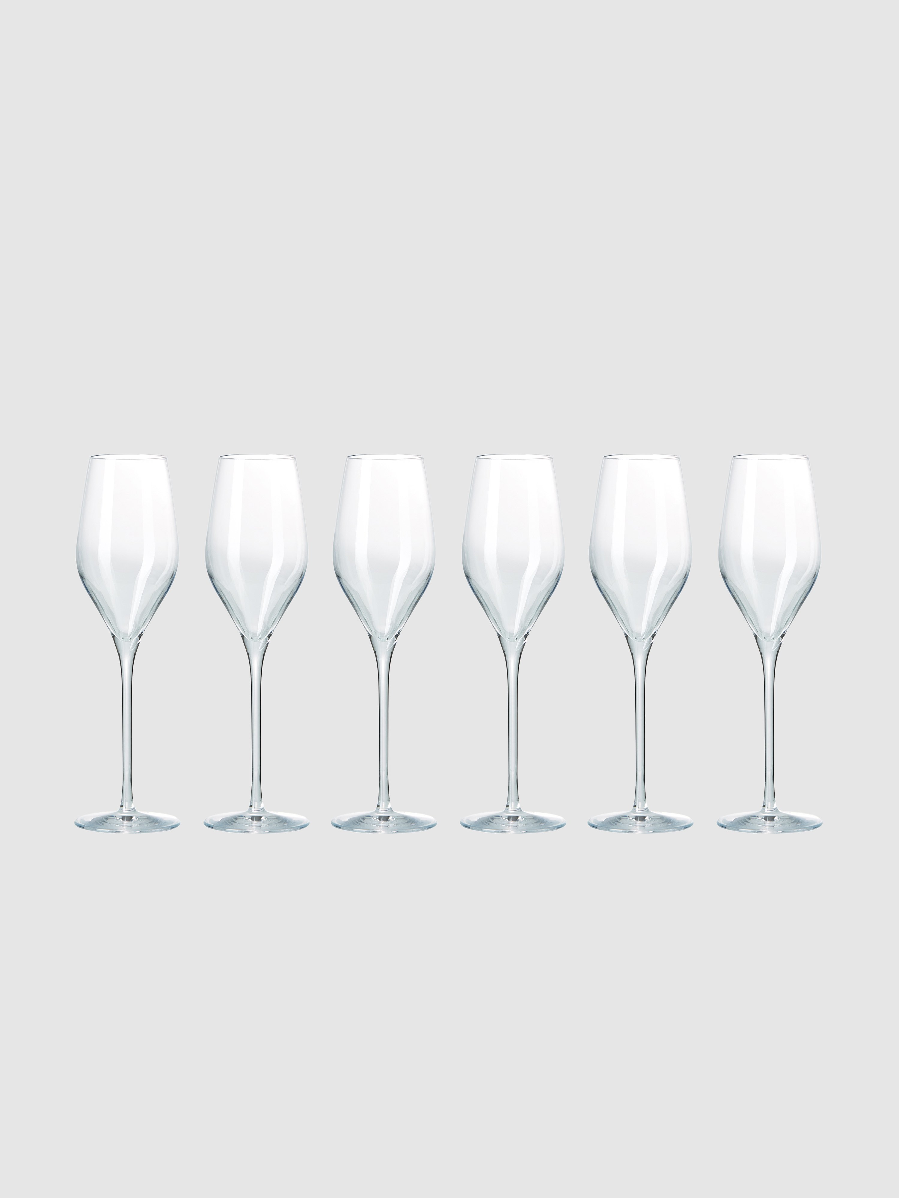 Aida Passion Connoisseur Champagne Flute, Set Of 6 In Clear