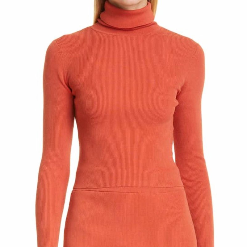 Shop A.l.c Eberly Sweater In Orange