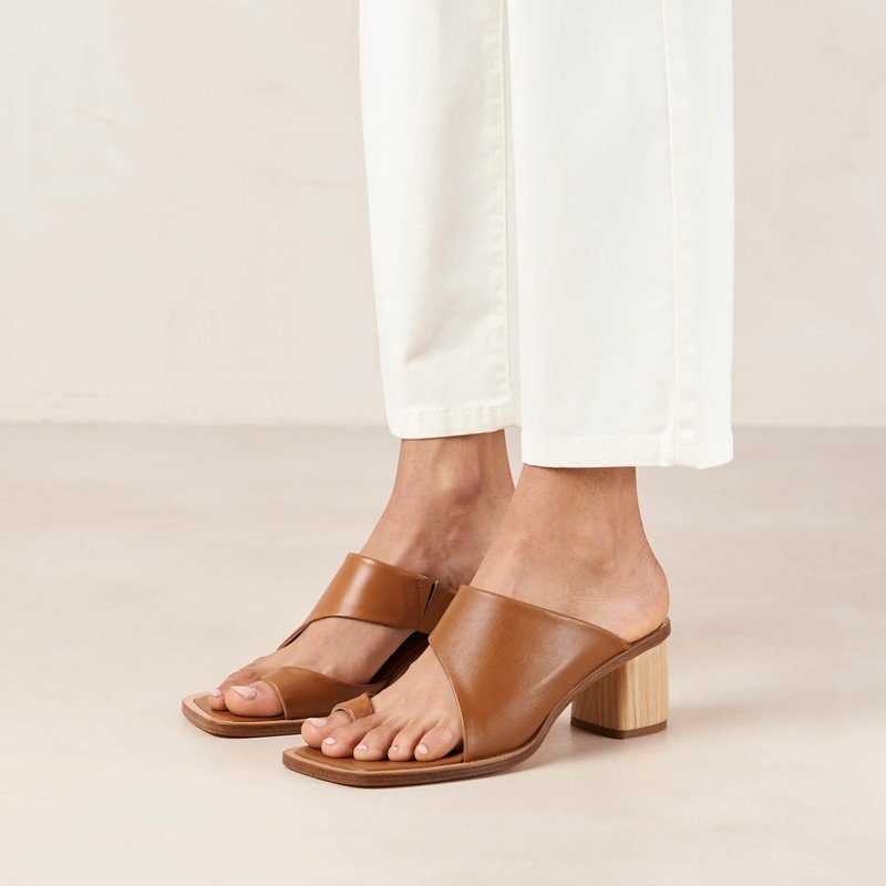 Shop Alohas Josie Leather Sandals In Brown