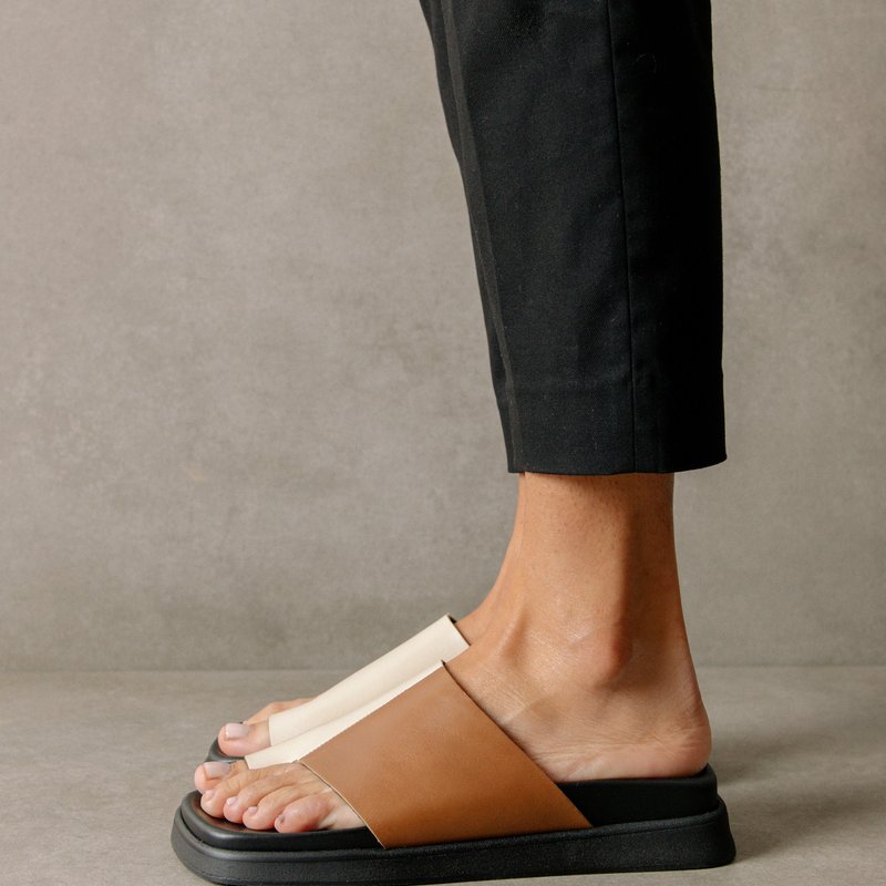 Shop Alohas Toe Ring Flop In Brown