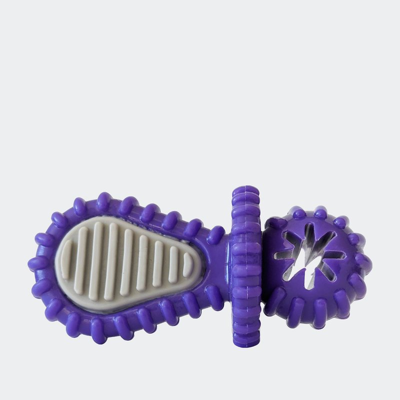 American Pet Supplies Dental Pacifier Dog Chew Toy In Purple