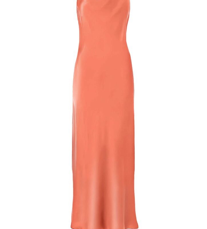Anaphe Revival Long Length Silk Slip Dress In Pink