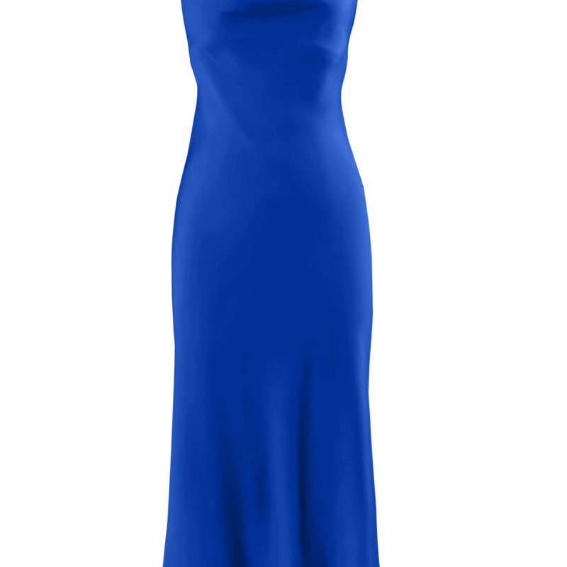Anaphe Silhouette Silk Cowl Slip Dress In Blue