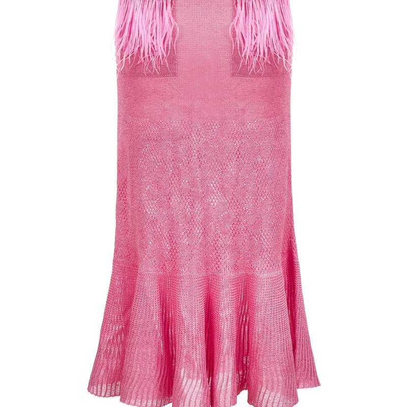 Shop Andreeva Knit Skirt With Feather Details On The Pocket In Pink