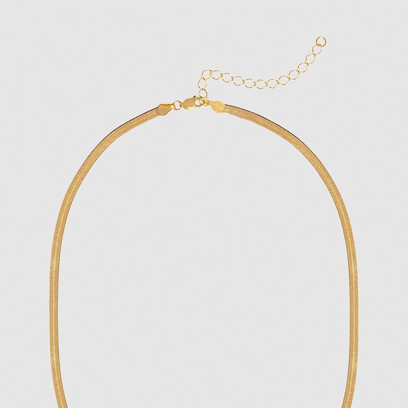 Anine Bing Ribbon Coil Necklace In Gold