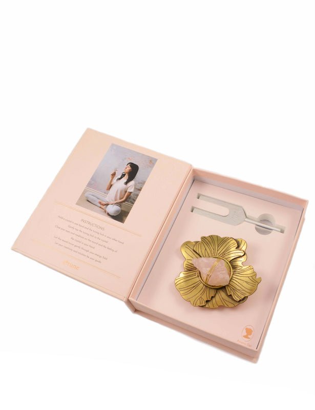 Ariana Ost Sound Healing Crystal Kit In Brown