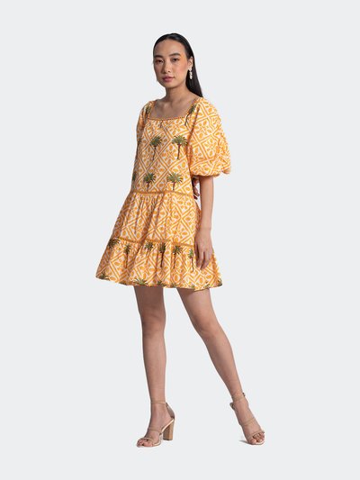 Ash & Eden Afryea Mini Dress product