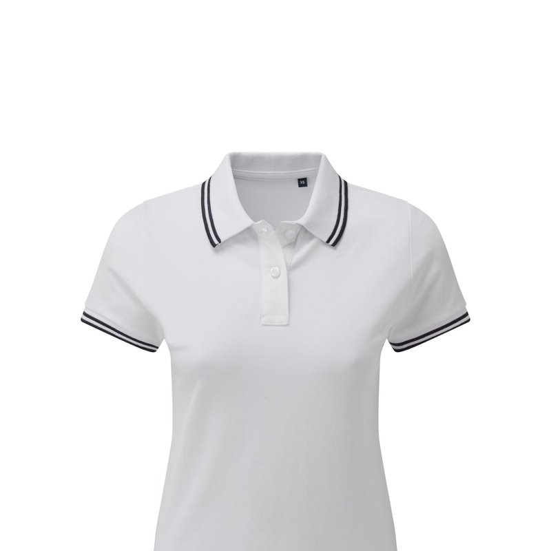 Asquith & Fox Womens/ladies Classic Fit Tipped Polo (white/navy)