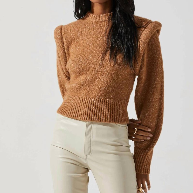 Astr Luciana Sweater In Brown