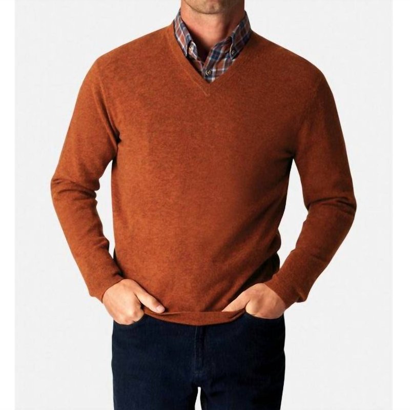 Autumn Cashmere Cashmere V-neck Pullover Sweater In Brown