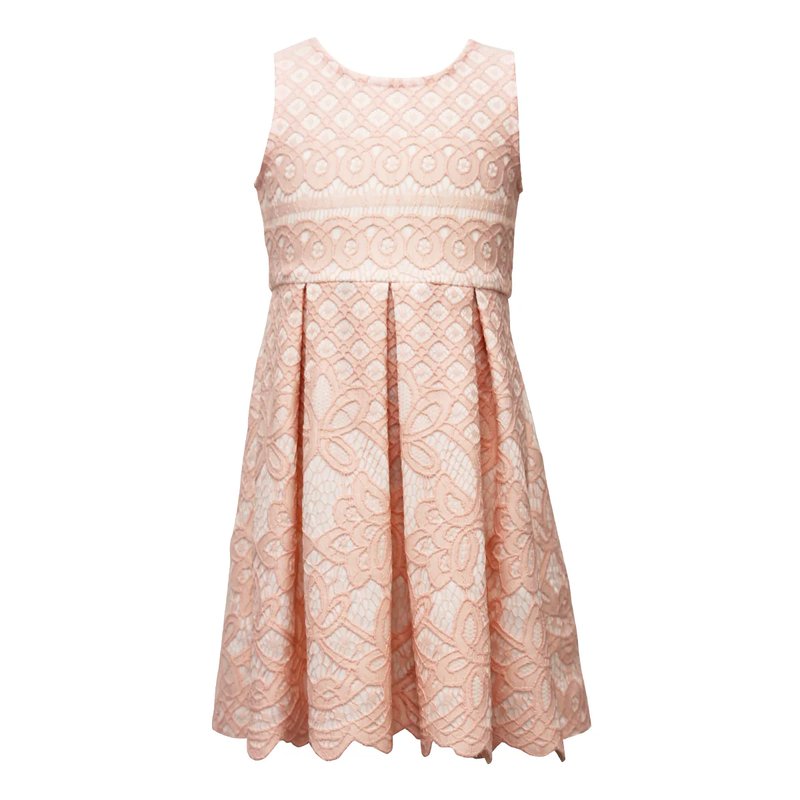 Ava & Yelly Bonded Lace Skater Dress (lilgirl) In Pink