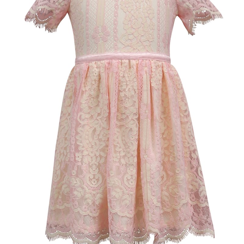 Ava & Yelly Lace Skater Dress With Tee Sleeve (big Girl) In Pink