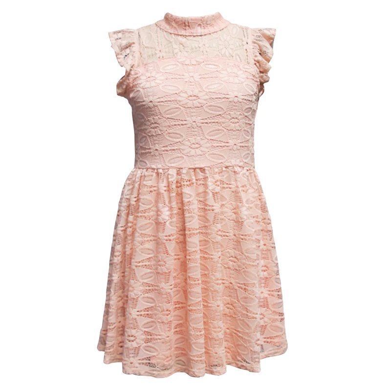 Ava & Yelly Mock Lace Skater Dress (lil Girl) In Pink