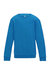 AWDis Just Hoods Childrens/Kids Sweatshirt - Sapphire Blue