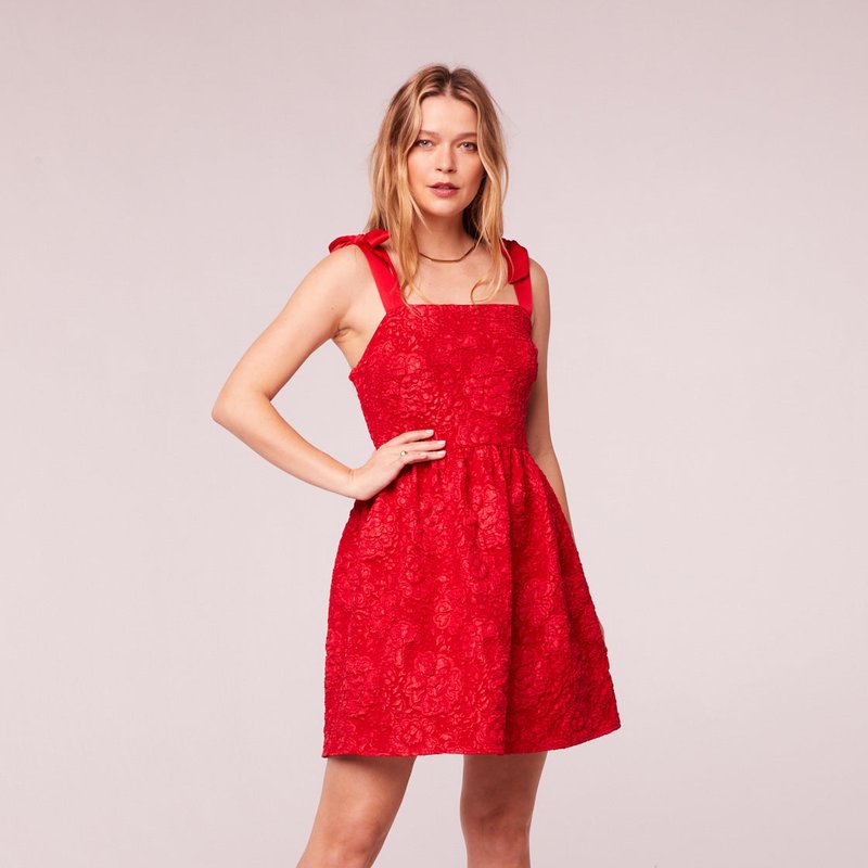 B.o.g. Collective Roxanne Red Rose Brocade Mini Dress