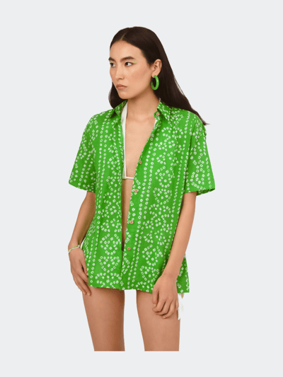 Bandu Women's Green Shirt product