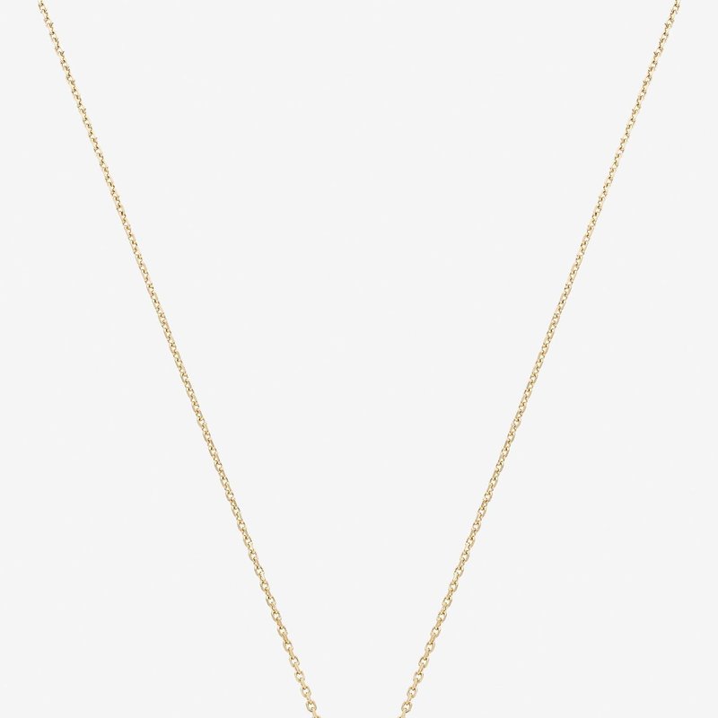 Bearfruit Jewelry Karina Necklace In Gold