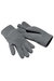 Beechfield Unisex Suprafleece™ Anti-Pilling Alpine Winter Gloves (Charcoal) - Charcoal