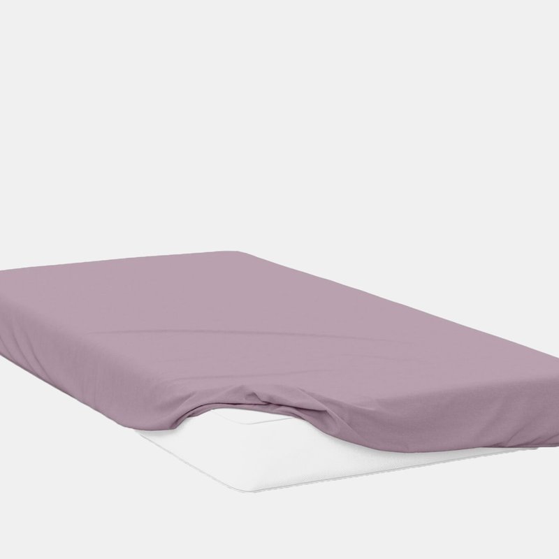 Belledorm 200 Thread Count Egyptian Cotton Fitted Sheet (mulberry) (full) (full) (uk In Purple