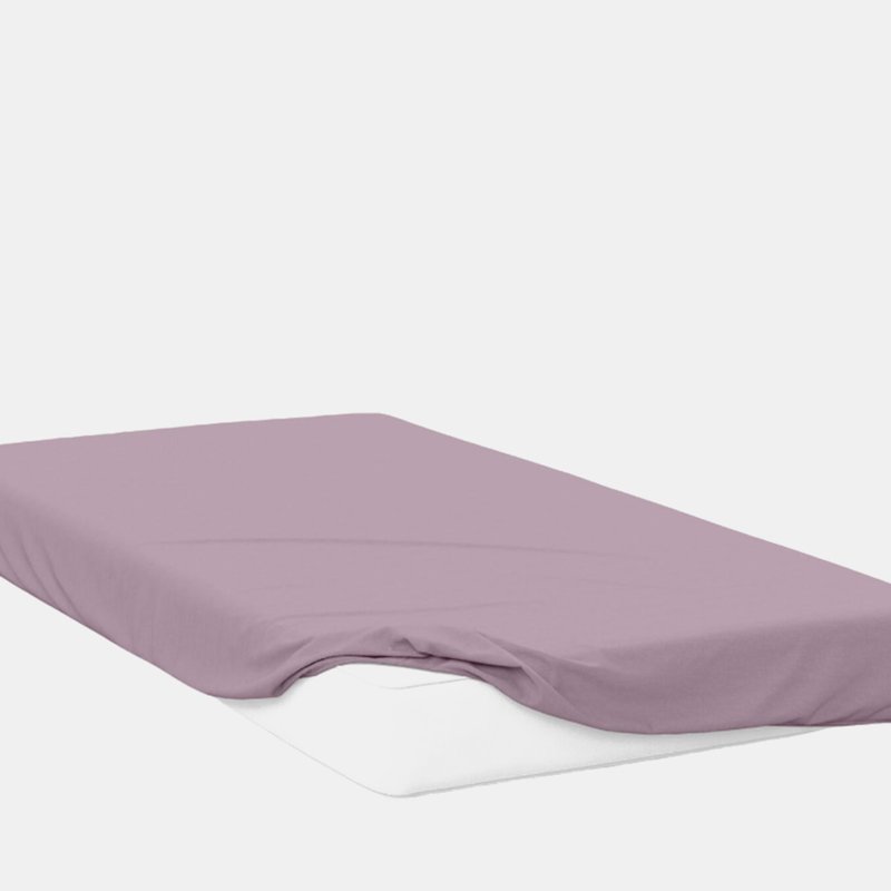 Belledorm 400 Thread Count Egyptian Cotton Extra Deep Fitted Sheet (mulberry) (full) (full) (uk In Purple