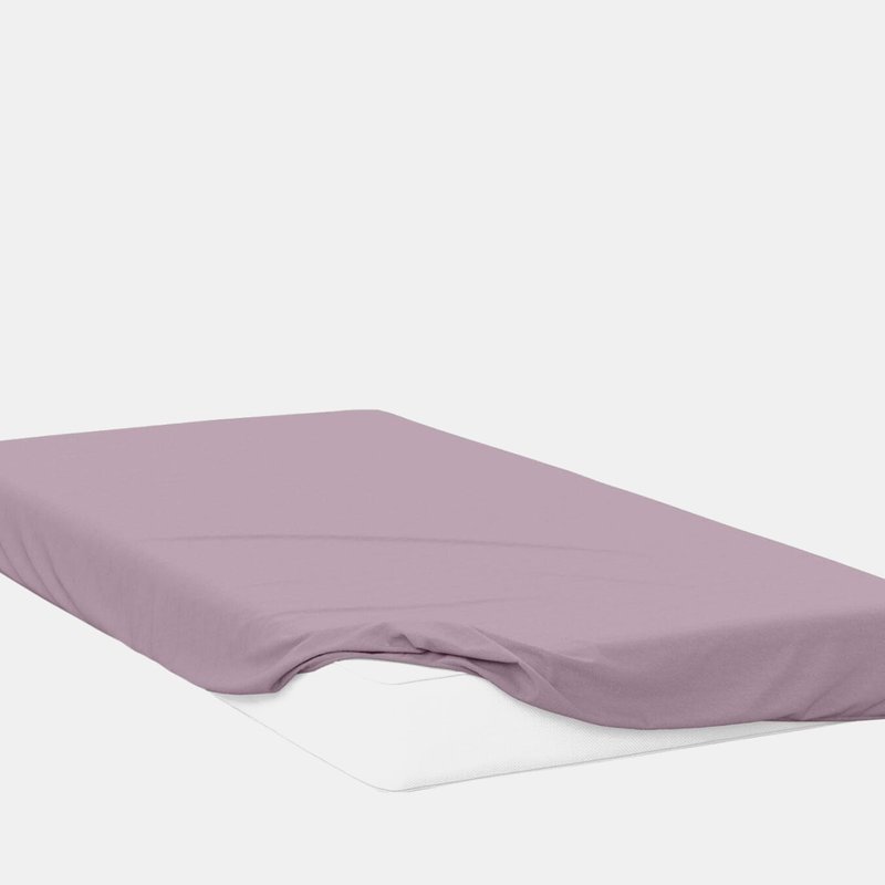 Belledorm 400 Thread Count Egyptian Cotton Fitted Sheet (mulberry) (full) (full) (uk In Purple