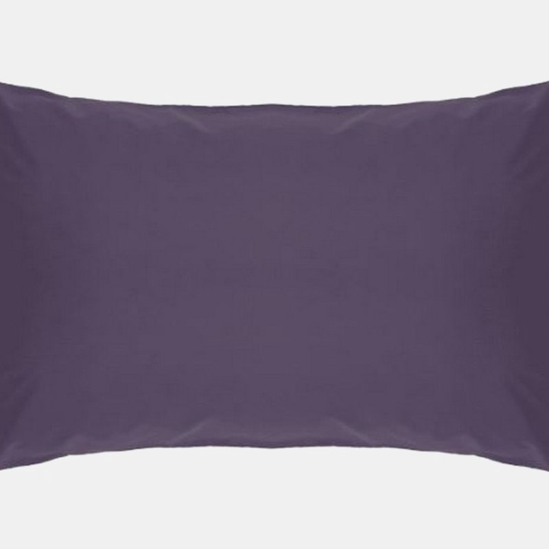Belledorm Easycare Percale Housewife Pillowcase, One Size In Purple