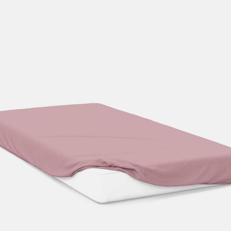 Belledorm Percale Fitted Sheet Blush In White