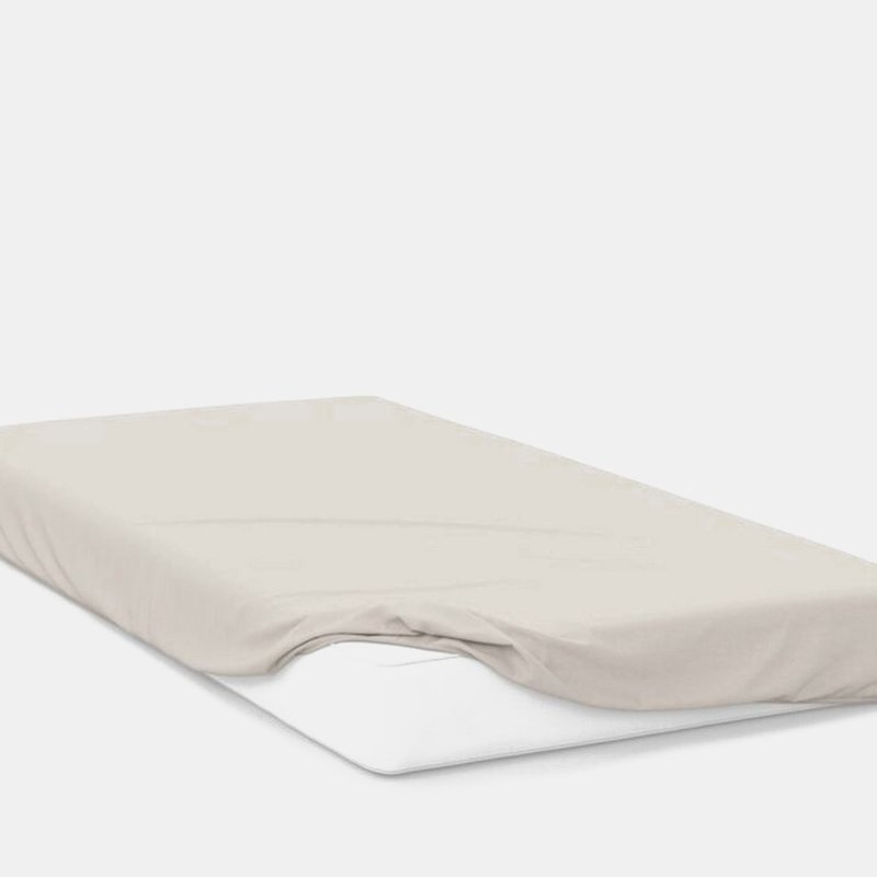 Belledorm Percale Fitted Sheet Ivory In White