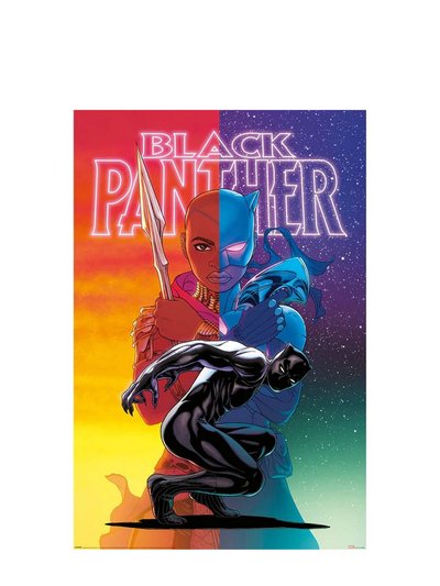 Black Panther Wakanda Forever Poster product