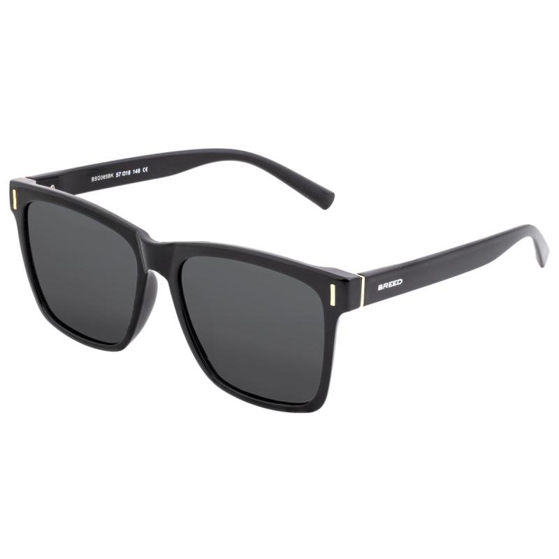 Breed Watches Pictor Polarized Sunglasses In Black
