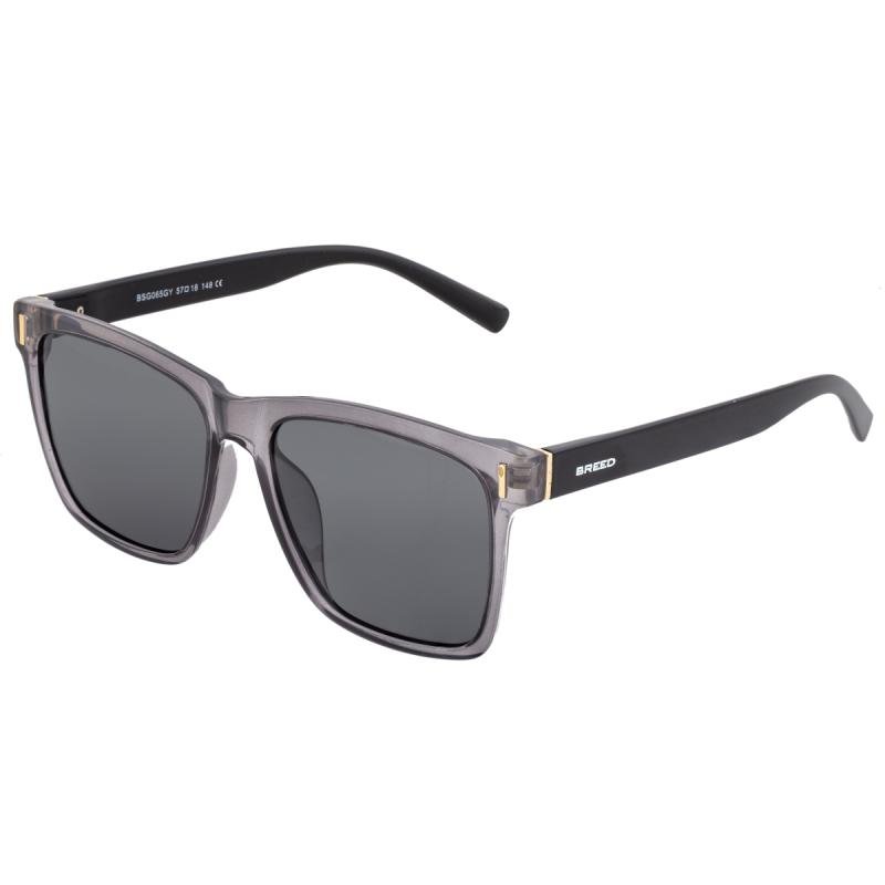 Breed Pictor Polarized Sunglasses In Grey