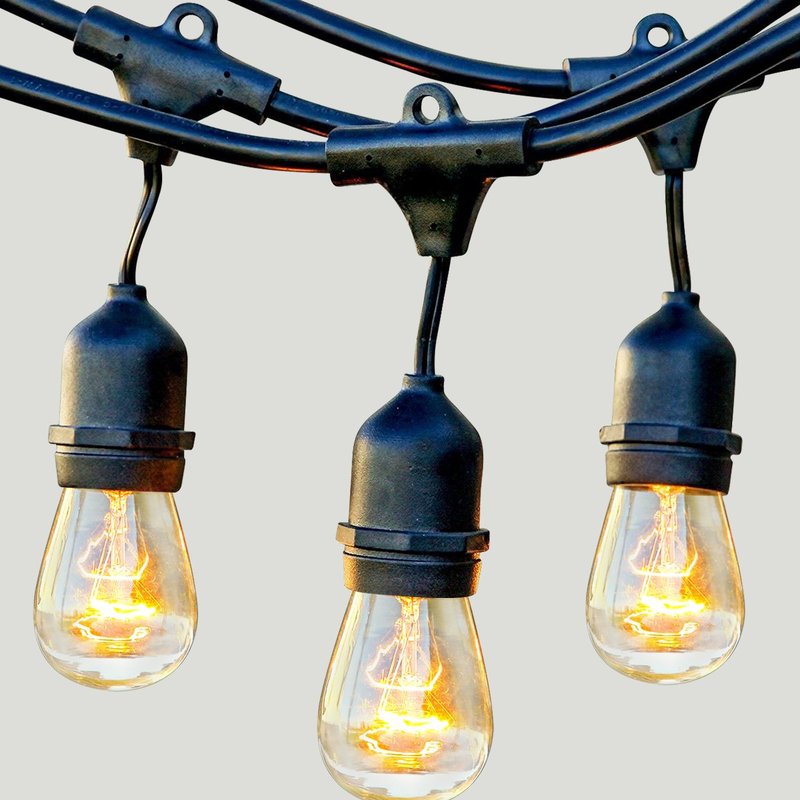 Shop Brightech Ambience Pro Incandescent String Lights In Black