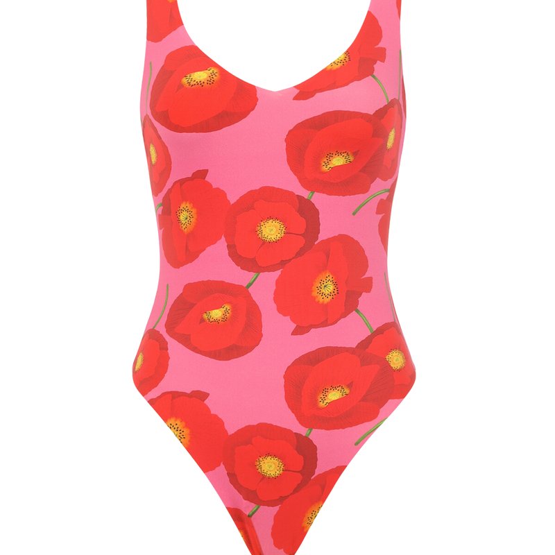Shop Bromelia Swimwear Anastacia One-piece In Pink