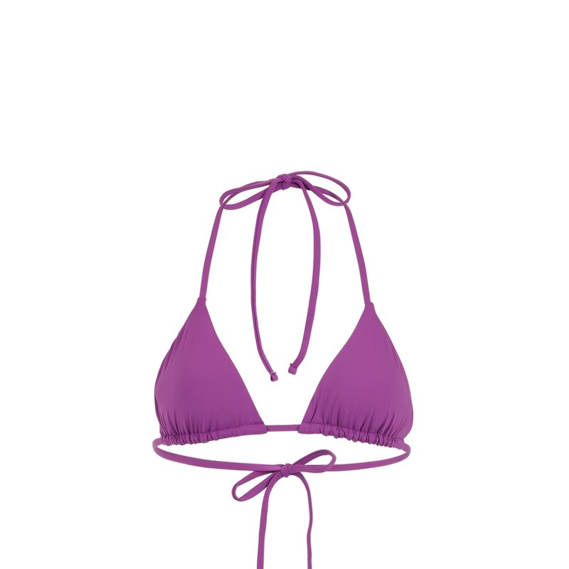 Bromelia Swimwear Gabriela Triangle Top In Purple