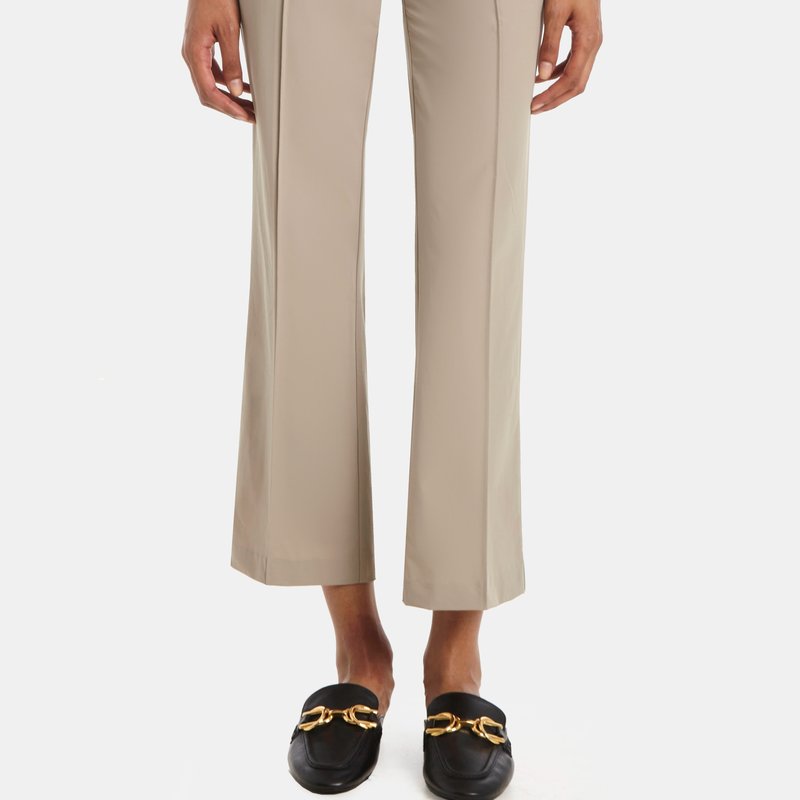 Shop Capsule 121 The Oriole Pant In Parker Tech In Brown