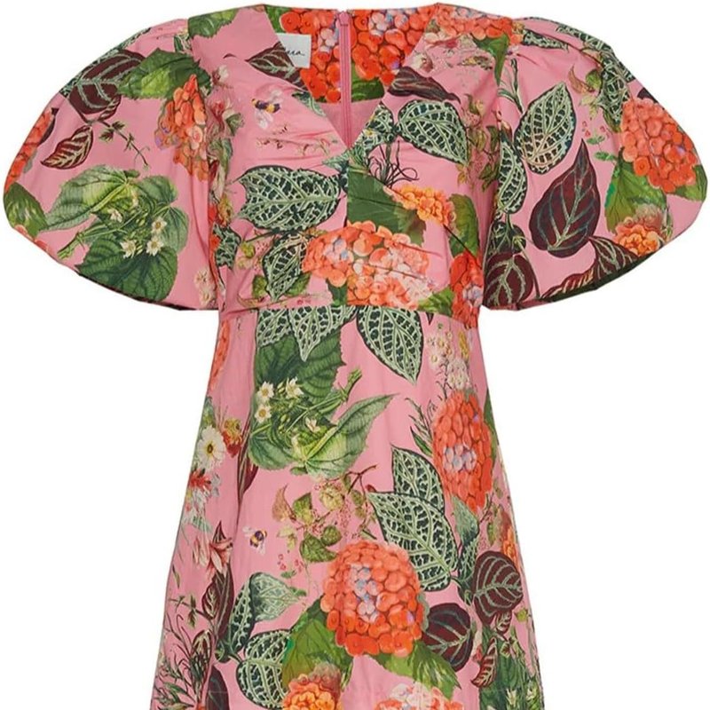 Cara Cara Floral-print Cotton Mini Dress In Pink