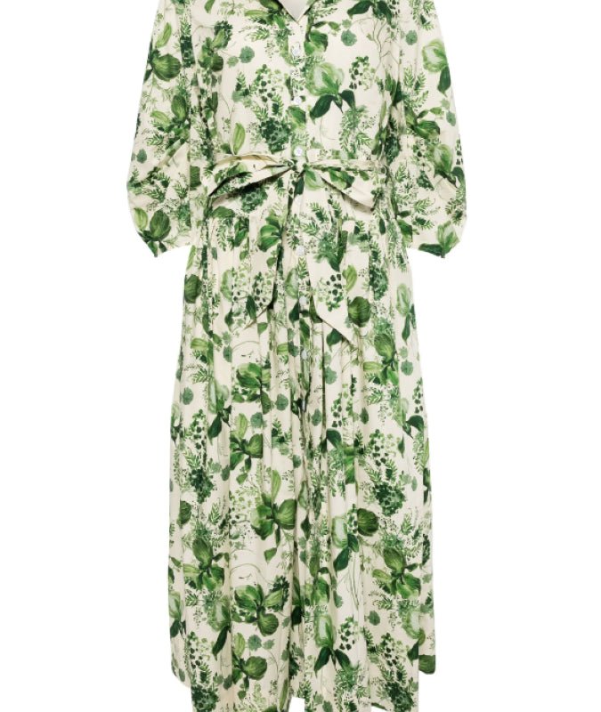 Cara Cara Raya Botanical-print Cotton Dress In Green