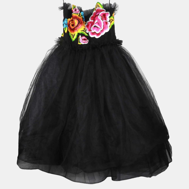 Carolina Herrera Women's Black Multi Embroidered A-line Dress