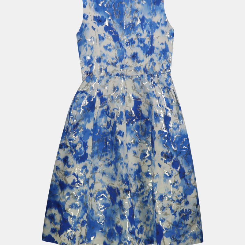 Shop Carolina Herrera Women's Sleeveless Pleated A Line Dress In Blue