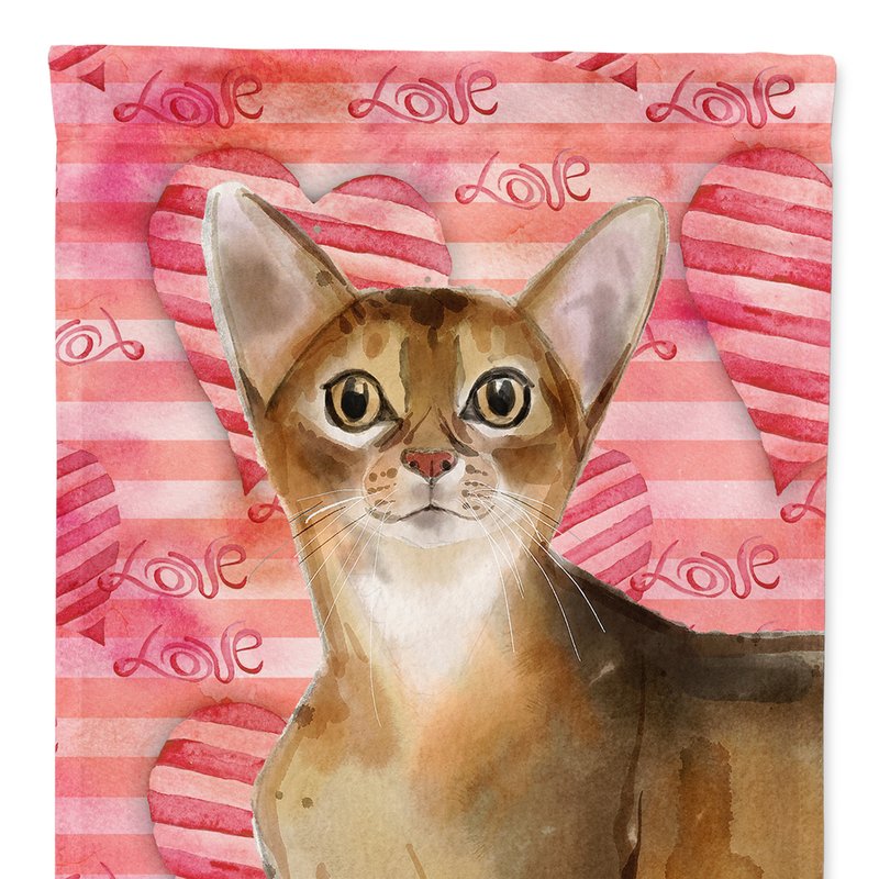 Caroline's Treasures 11 X 15 1/2 In. Polyester Abyssinian Cat Love Garden Flag 2-sided 2-ply