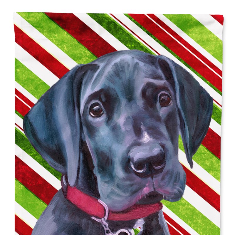 Caroline's Treasures 11 X 15 1/2 In. Polyester Black Great Dane Puppy Candy Cane Holiday Christmas Garden Flag 2-sided 2-