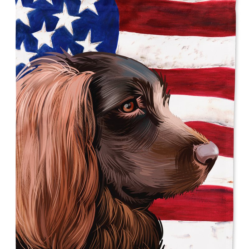 Caroline's Treasures 11 X 15 1/2 In. Polyester Boykin Spaniel Dog American Flag Garden Flag 2-sided 2-ply In Animal Print