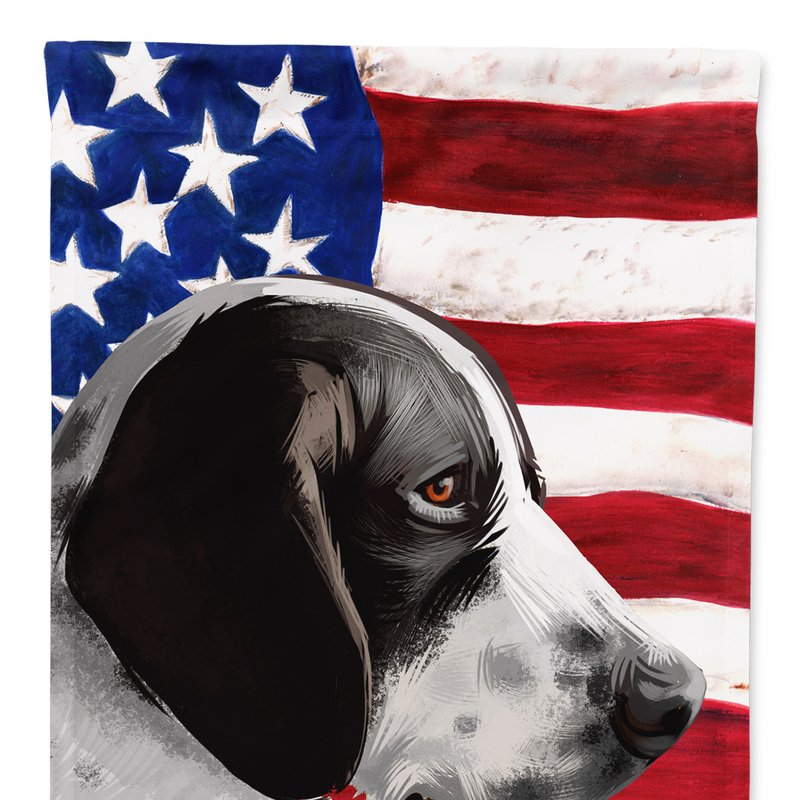 Caroline's Treasures 11 X 15 1/2 In. Polyester Braque D'auvergne Dog American Flag Garden Flag 2-sided 2-ply In Multi